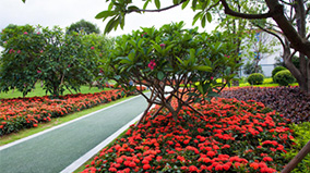 ÌÚ²©tengbo9885_Ê×Ò³(»¶ÓÄú)