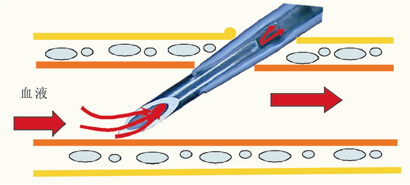 6t����(6TSPORTS)�����Źɷݹ�˾