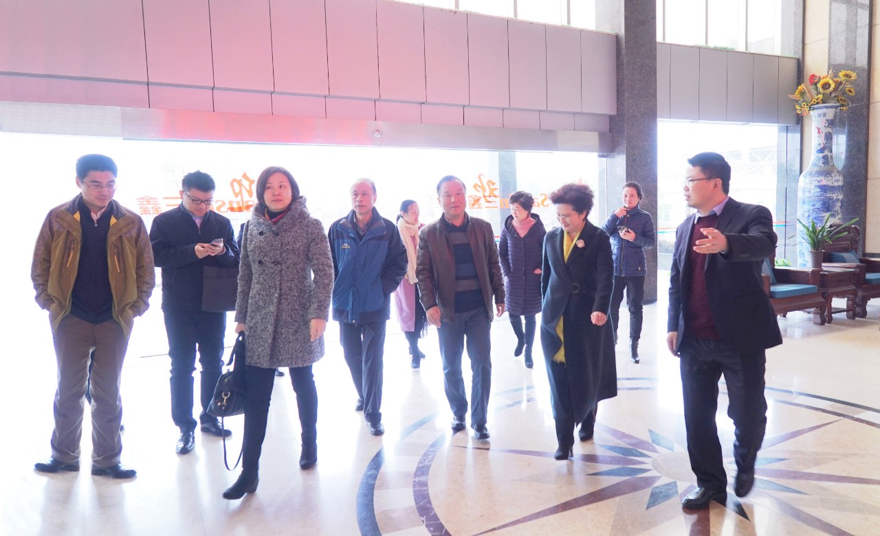 6t����(6TSPORTS)�����Źɷݹ�˾