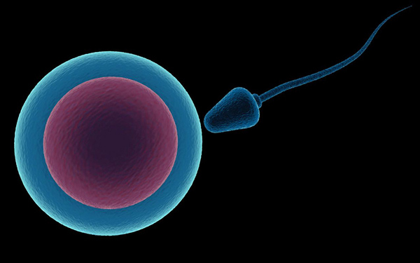 6t����(6TSPORTS)�����Źɷݹ�˾