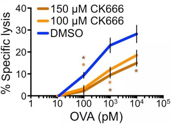 CK666��������Tϸ���԰�ϸ���ѽ����������½�
